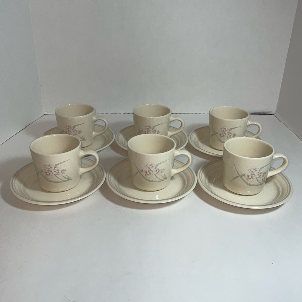 Coffee Mug Saucer Spring Pond Corelle Tea Cups Saucers Dessert Plates Set of 6